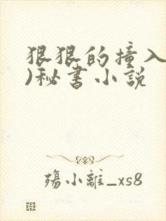 狠狠的撞入(h)秘书小说