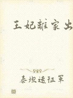 王妃离家出走