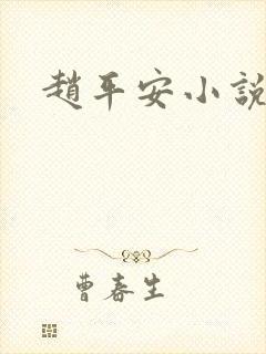 赵平安小说主角