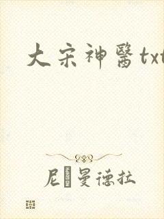 大宋神医txt