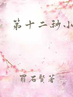 第十二秒小说