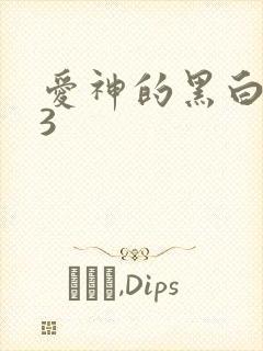 爱神的黑白羽翼3