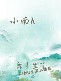 小南h