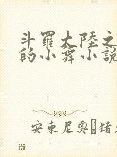 斗罗大陆之Y荡的小舞小说