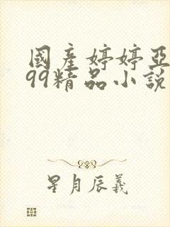 国产婷婷亚洲999精品小说