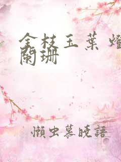 金枝玉叶 灯火阑珊