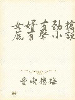 女婿有劲枪枪到底有声小说