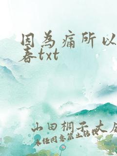 因为痛所以叫青春txt