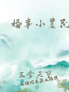 婚事小农民