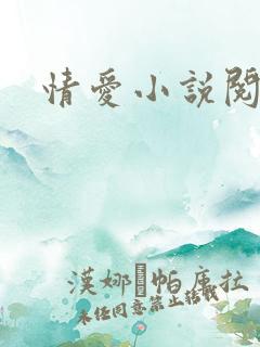 情爱小说阅读网