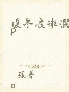 暖冬夜微澜VIP