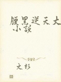 腹黑逆天大小姐 小说