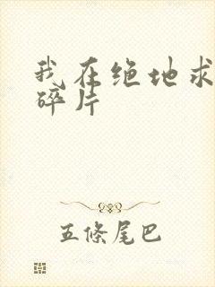 我在绝地求生捡碎片