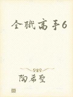 全职高手6