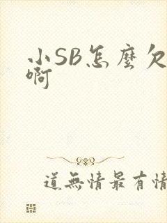 小SB怎么欠C啊