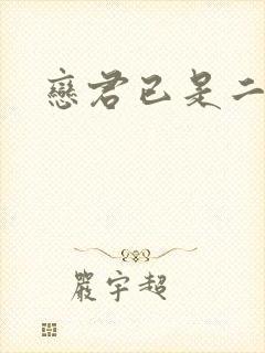 恋君已是二十年