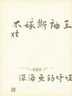 不嫁断袖王爷txt