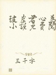 彼岸君心为我倾小说免费阅读