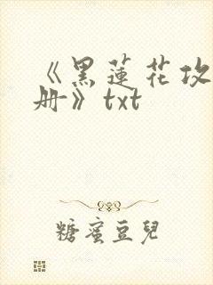 《黑莲花攻略手册》txt