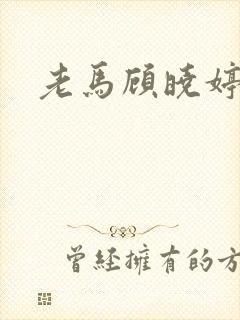 老马顾晓婷小说