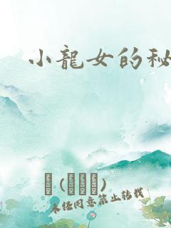 小龙女的秘密