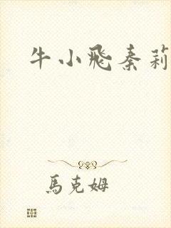 牛小飞秦莉莉