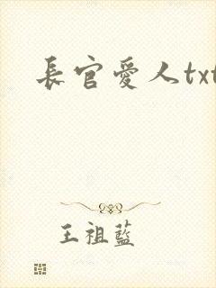 长官爱人txt