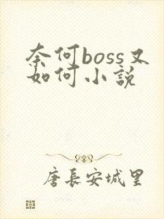 奈何boss又如何小说