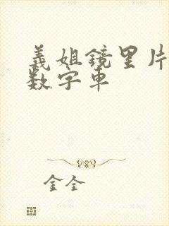 义姐镜里片微博数字车