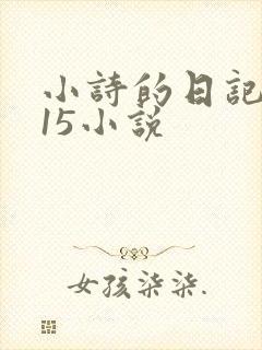 小诗的日记1一15小说