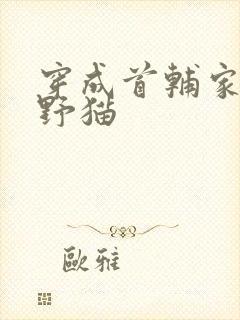 穿成首辅家的小野猫