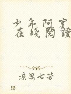 少 年 阿 宾 在 线 阅 读