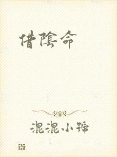 借阴命