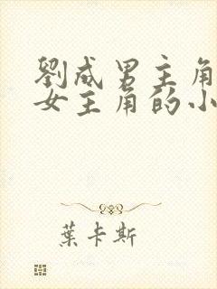 刘成男主角刘雪女主角的小说