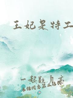 王妃是特工