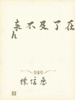 来不及了在车ch