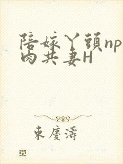 陪嫁丫头np全肉共妻H