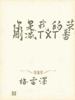 你是我的荣耀未删减TXT番外