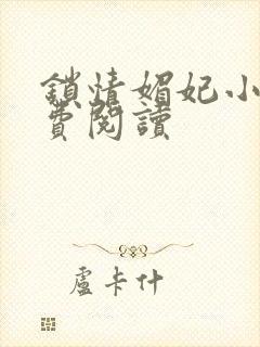 锁情媚妃小说免费阅读