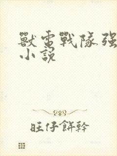 兽电战队强龙者小说