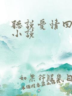 听说爱情回来过小说