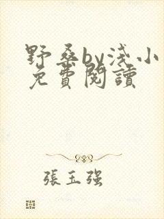 野桑by浅小说免费阅读