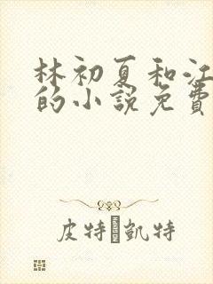 林初夏和江未寒的小说免费阅读