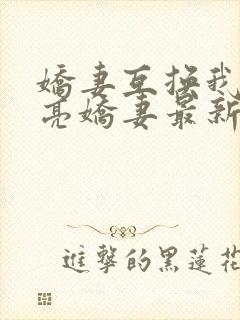 娇妻互换我的漂亮娇妻最新章节