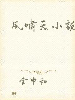 风啸天小说