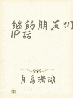 继的朋友们SVIP话