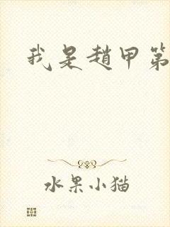 我是赵甲第小说