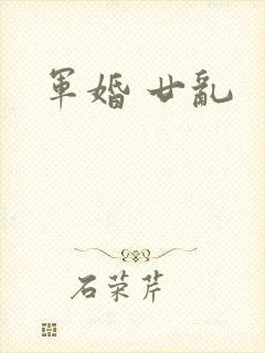 军婚 廿乱
