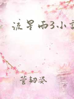 流星雨3小说