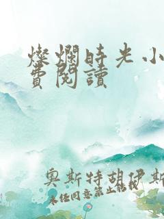 灿烂时光小说免费阅读